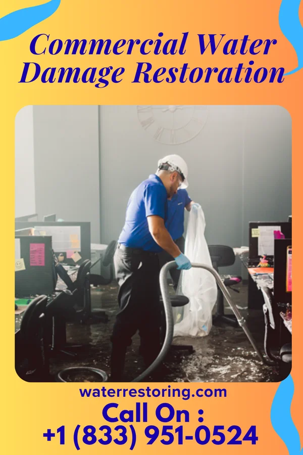 Commercial Water Damage Restoration in Maple Rapids, MI
