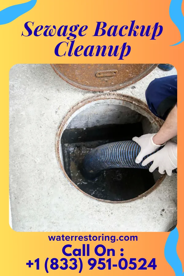 Sewage Backup Cleanup in Maple Rapids, MI