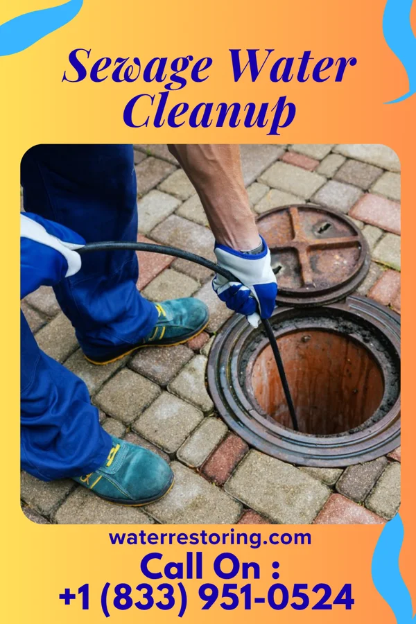 Sewage Water Cleanup in Maple Rapids, MI