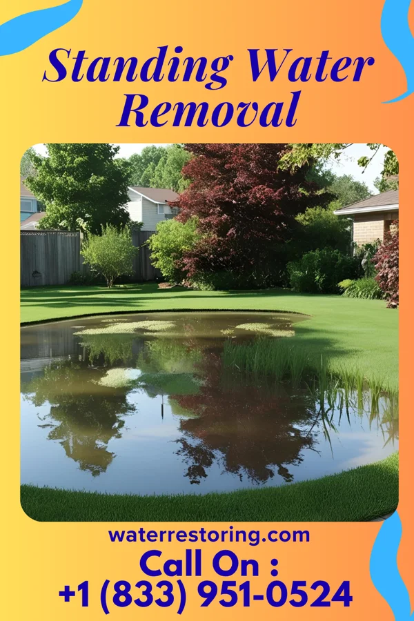 Standing Water Removal in Maple Rapids, MI
